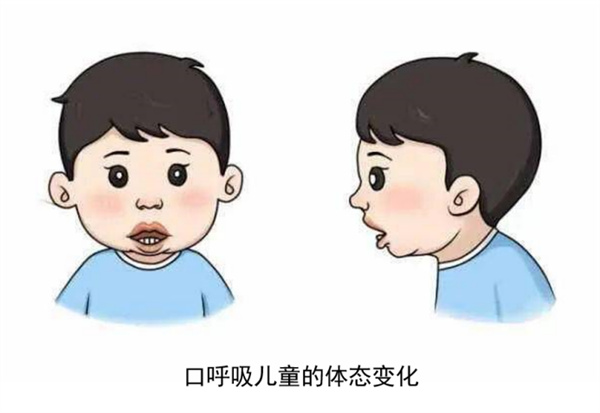 图片 3.jpg