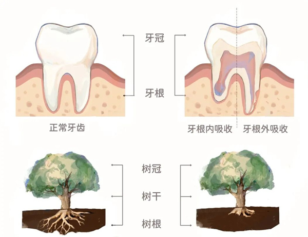 图片 118.jpg
