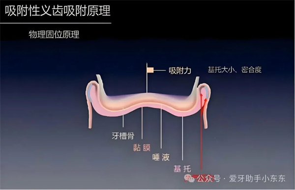 图片 32.jpg