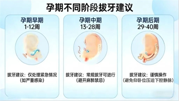 图片 34.jpg