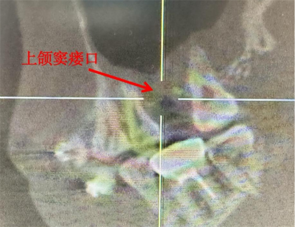图片3.jpg
