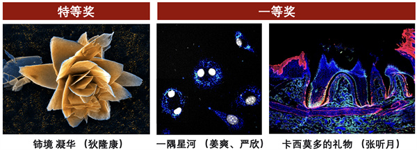 289BF3DEC0215EF87075749CE14BFF15.jpg